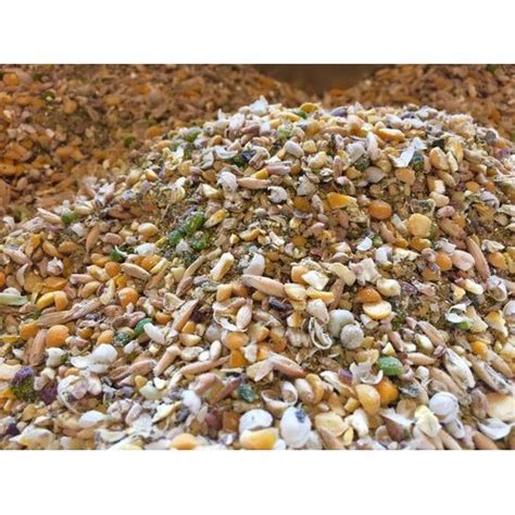 scratch layer chicken feed packaging size     kg