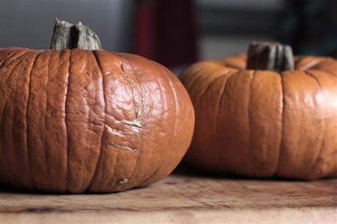 homemade pumpkin puree   simple steps  simply