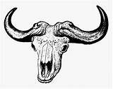 Skull Buffalo Drawing African Transparent Pngitem sketch template
