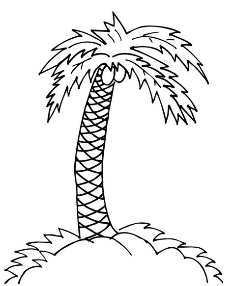 palm tree coloring  drawing page tree coloring page mandala