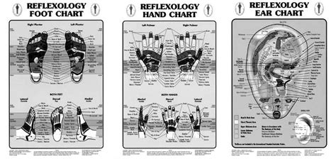 What Is Reflexology Reflexology Association Of British Columbia