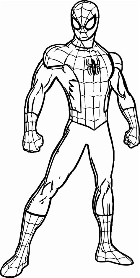 pin  spiderman coloring pages  kids