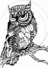 Owl Zentangle Zentangles Coloring Pages Adult Owls Colouring Patterns Tattoo Fosterginger Birds Buho Drawing Visit Drawings Uploaded User sketch template