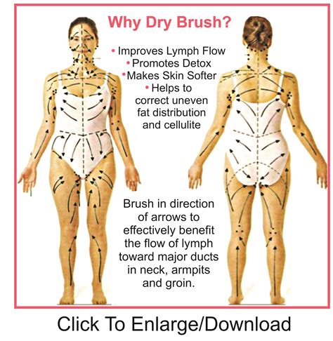 Top 10 Dry Brushing Cellulite Ideas And Inspiration