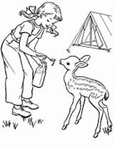 Coloring Camping Pages Kids Deer Family Baby Sheets Color Activity Printable Fun Sheet Scout Colour Outdoor Colouring House Children Clipart sketch template