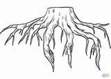 Roots Stump sketch template