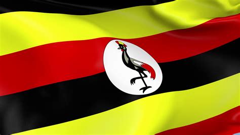 uganda waving flag background loop stock motion graphics sbv