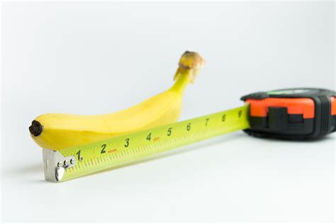 does penis size really matter new survey of men and women reveals the truth and the ideal