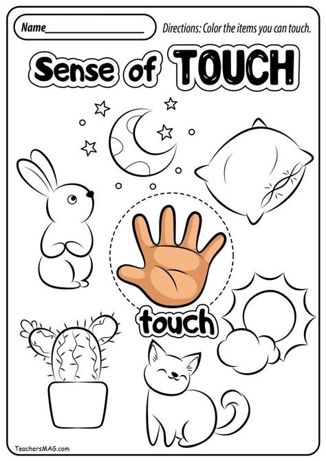 senses worksheets teachersmagcom   senses