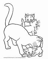 Coloring Pages Cat Printable Choose Board Kittens Baby Family sketch template