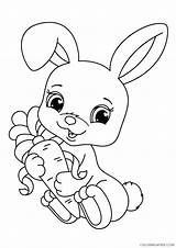 Coloring Rabbit Holding Carrot Coloring4free Pages Bunny Related Posts sketch template