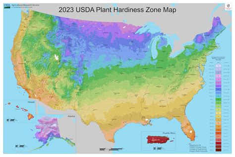 usdas updated plant hardiness map shows  growing zones