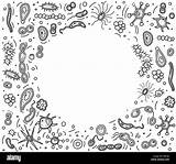 Bacteria Betrag Abgehobenen Stellten Zusammensetzung Corel Composition Microorganism sketch template