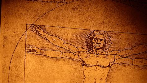 Stock Video Of Photo Of The Vitruvian Man By 3264520 Shutterstock