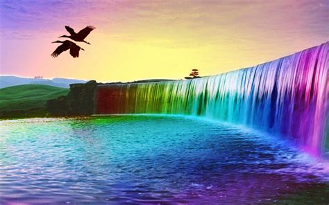 regenboog watervallen en vogels