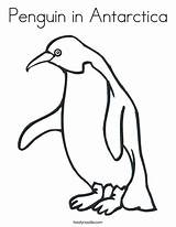 Penguin Antarctica Antartica Pinguin Adelie Penguins Emperor Twistynoodle Twisty sketch template