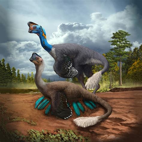 worlds  dinosaur discovered sitting  nest  eggs
