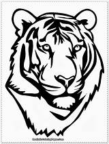 Tiger Coloring Pages Template Head sketch template