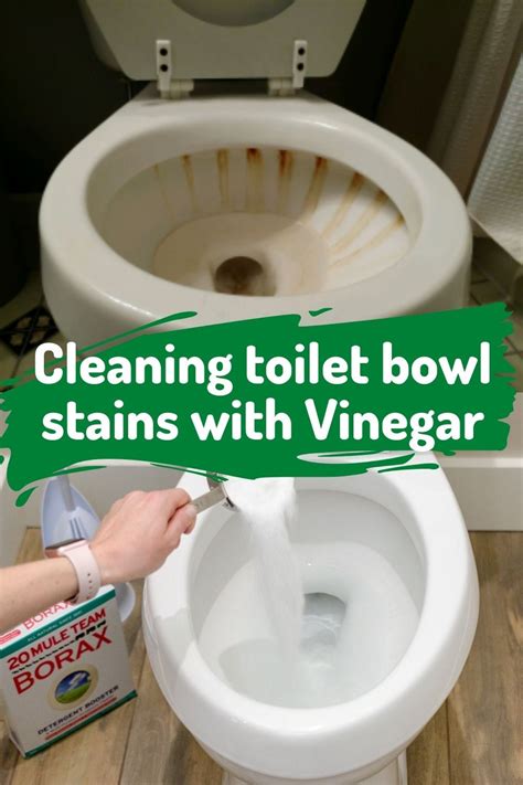 clean  toilet bowl stains  borax powder