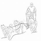 Sled Slitta Cani Pulling Tirano Disegnata Honden Slee Getrokken Trekken Sleigh sketch template