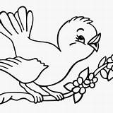 Birds Color Clipart Book Coloring Pages Clipground Ikids Little Twitter sketch template