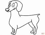 Dachshund Coloring Colorare Disegni Kleurplaat Weiner Cani Bassotto Haired Long Kleurplaten Schattige Hond Dieren Teckel Cartonionline Moeilijk sketch template