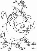 Lion Coloring King Pages Timon Pumbaa Kids sketch template