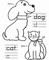 Dog Coloring Cat Pages Kids Color Colors Learning Dogs Cats Objects Activity Colouring Drawings Printable Numbers Worksheets Number Instructions Clipart sketch template