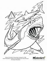 Shark Coloring Tiger Pages Whale Getdrawings sketch template