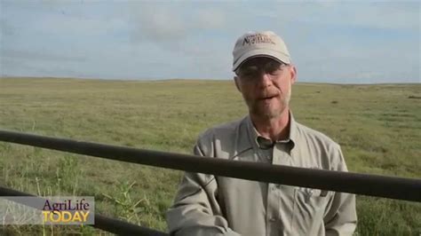 expert managing pastures doesnt   growing grass youtube