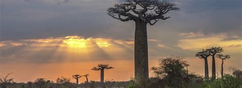 voyage madagascar entre celibataires ou solos randonnee  trek avec