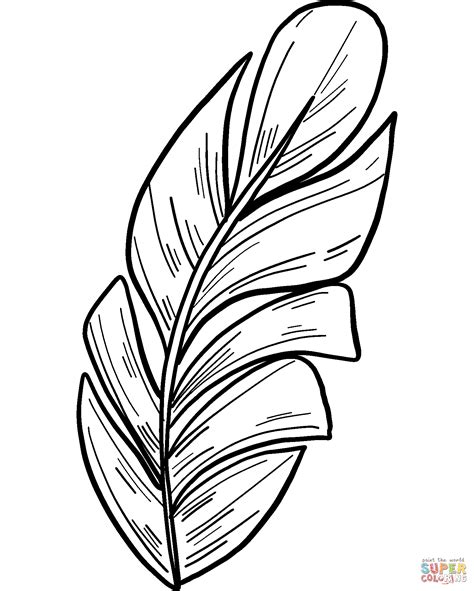 palm leaf coloring page  printable coloring pages