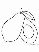 Avocado Avocados sketch template