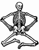 Skeleton Squelette sketch template