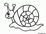 Coloring Snails sketch template