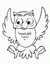 Owl Burrowing Getdrawings Coloring sketch template