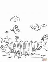 Coloring Pages Garden Birds Over Printable Fly Book Drawing Spring sketch template