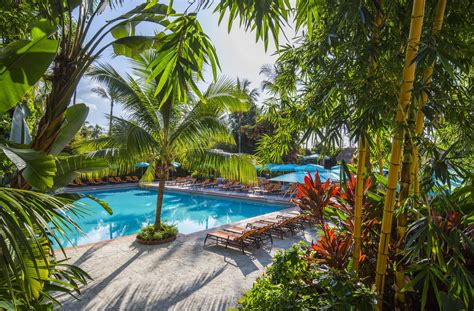 tropical pool suites   palms hotel spa miami pool miami