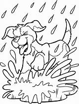 Kleurplaat Kleurplaten Honden Hond Samson Gert Voor Kinderen Bron Tekenen sketch template