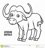 Buffle Coloriage Africain Livre Boek Afrikaanse Buffels Kleurend Karakter Safari sketch template