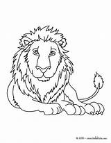 Lion Coloring Pages Cub Drawing Lioness Para Colorear Sleeping Color Dibujo Print Getdrawings Getcolorings Cu Leones Hellokids Leon sketch template