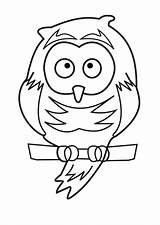 Owl Animal Coloring Drawings Pages Cliparts Cartoon Clipart Farm Drawing Animated Line Outline Christmas Teddy Stocking Bear Library Child Clip sketch template