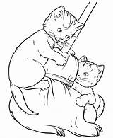 Coloring Pages Cats Cat Playing Printable sketch template