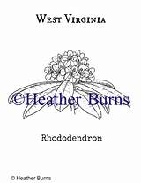 Coloring State Rhododendron sketch template