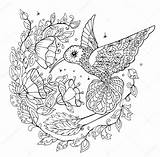 Hummingbird Colibri Colorear Dibujos Mandalas Boek Kleurend Kolibrie Sunflower Depositphotos Colibrí Colibries Kolorystyki Książka Colibríes Aves Adultos St3 Primero sketch template