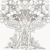 Coloring Forest Pages Enchanted Adult Book Printable Colouring Drawing Trees Basford Redwood Tree Adults Whimsical Johanna Getdrawings Getcolorings Kleurplaten Books sketch template