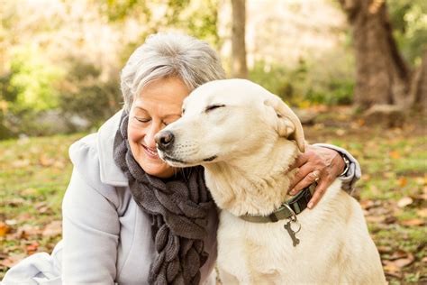 companion animals   alleviate loneliness  older adults