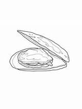 Mussel Coloring Open Pages Sia Color Supercoloring sketch template