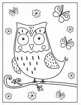 Eule Malvorlage Owls Eulen Verbnow Schmetterlingen sketch template