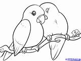 Birds Drawing Draw Bird Lovebirds Drawings Sketch Coloring Cartoon Step Pages Easy Pencil Dragoart Cute Line Getdrawings Two Paintingvalley Branch sketch template